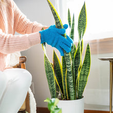 Load image into Gallery viewer, Wipe pests and residual liquid off of leaves with a soft towel or microfiber gloves.