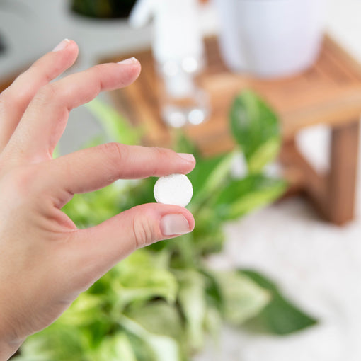 Easy-use tablet for peppermint-based indoor plant pest control spray.