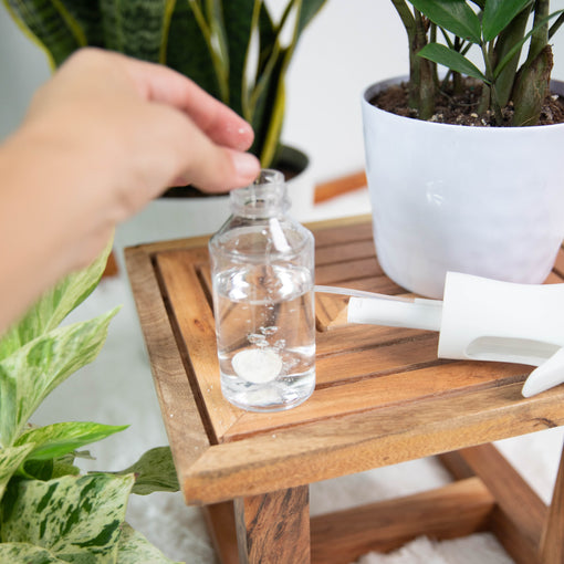 Drop the pest control tablet in a spray bottle and add 4 oz. water.