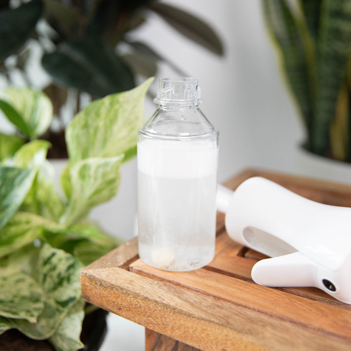 Simply the Best Plant Mister Spray Bottle (4 oz) – Instant Plant Food