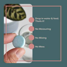 Load image into Gallery viewer, The Thrive Bundle (Plant Food + Probiotics) for HOUSEPLANTS