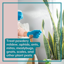 Load image into Gallery viewer, The Revive Bundle (Plant ProBiotics + Natural Pest Control) for HOUSEPLANTS