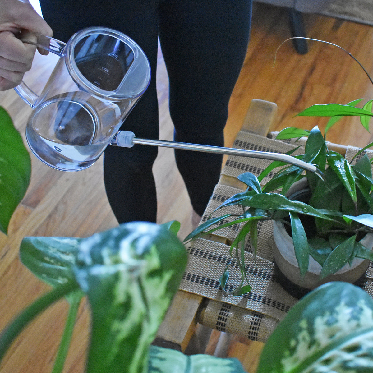 plant watering system indoor Simply the Best Houseplant Watering Can (1 Liter) – Instant Plant Food