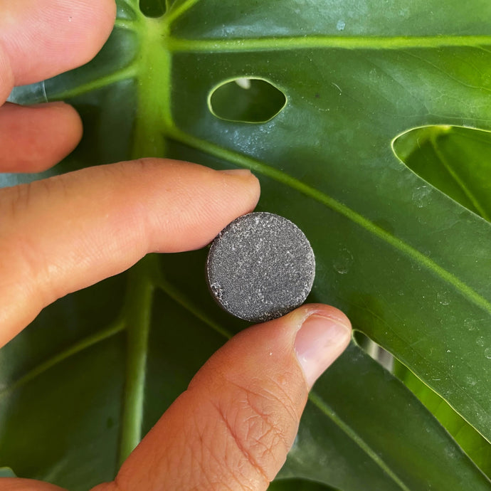 Revive or Maintain: Instant Plant Support Tablets for Healthy Houseplant Soil