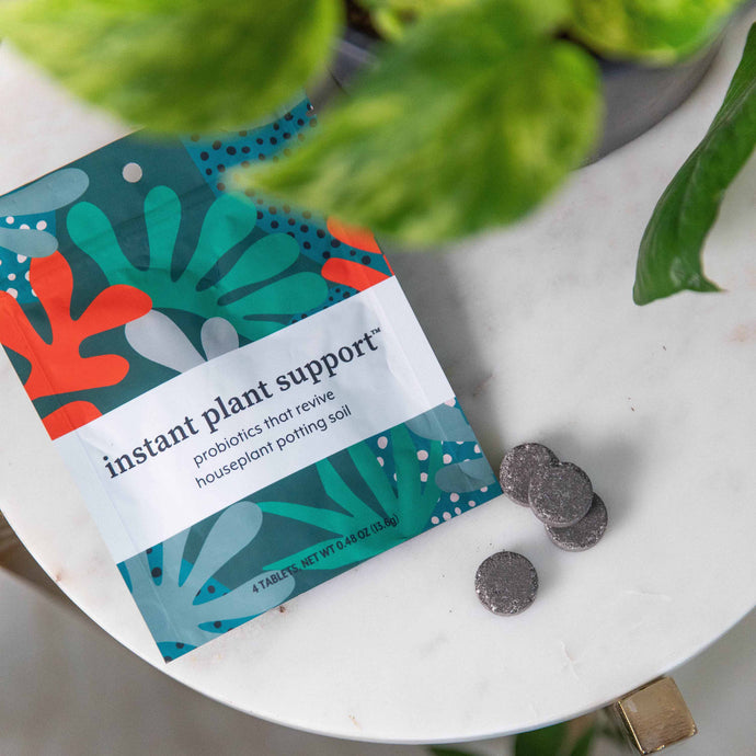 Simplify Your Plant Care Routine with Instant Plant Support Tablets