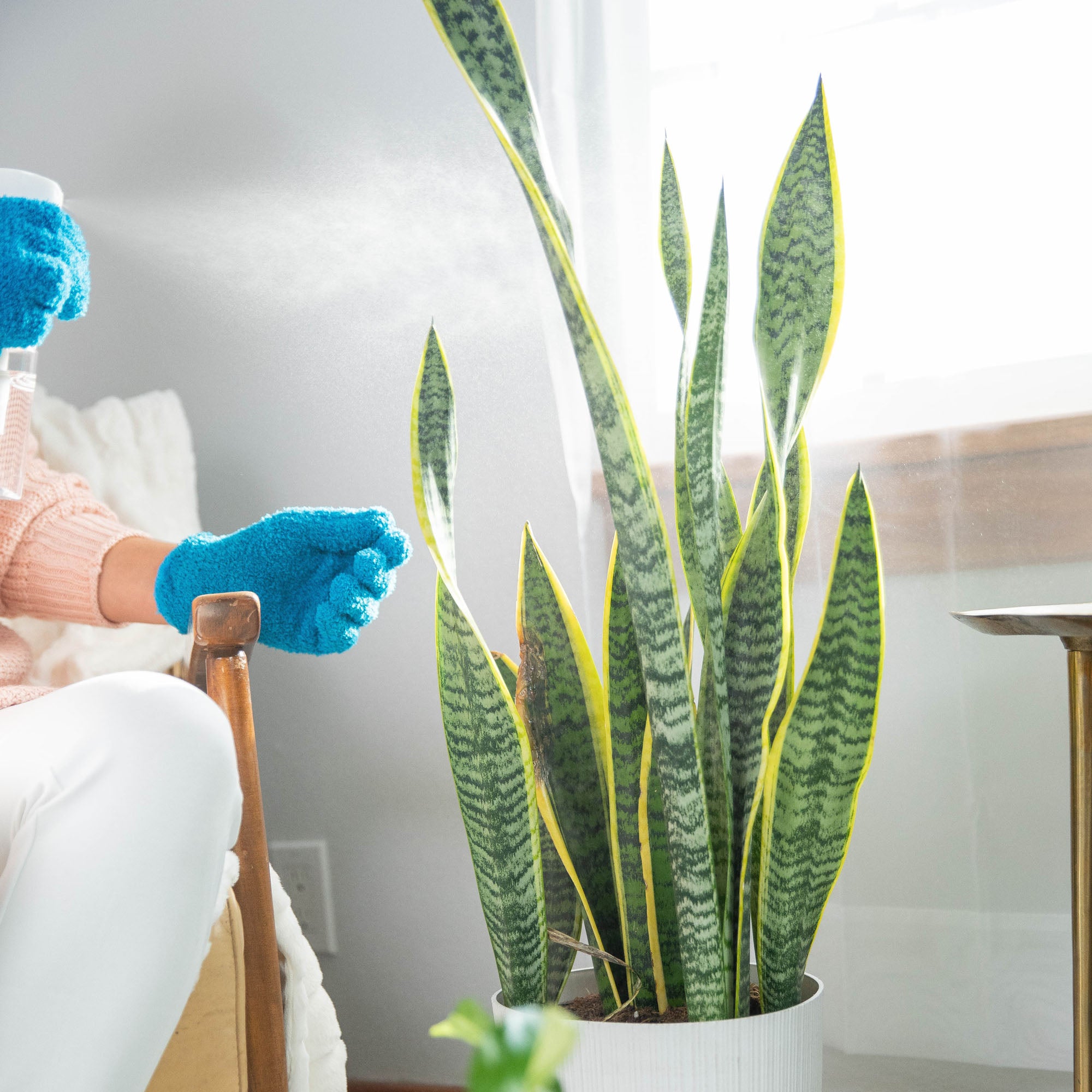 natural pesticide indoor plants Instant Plant Protection