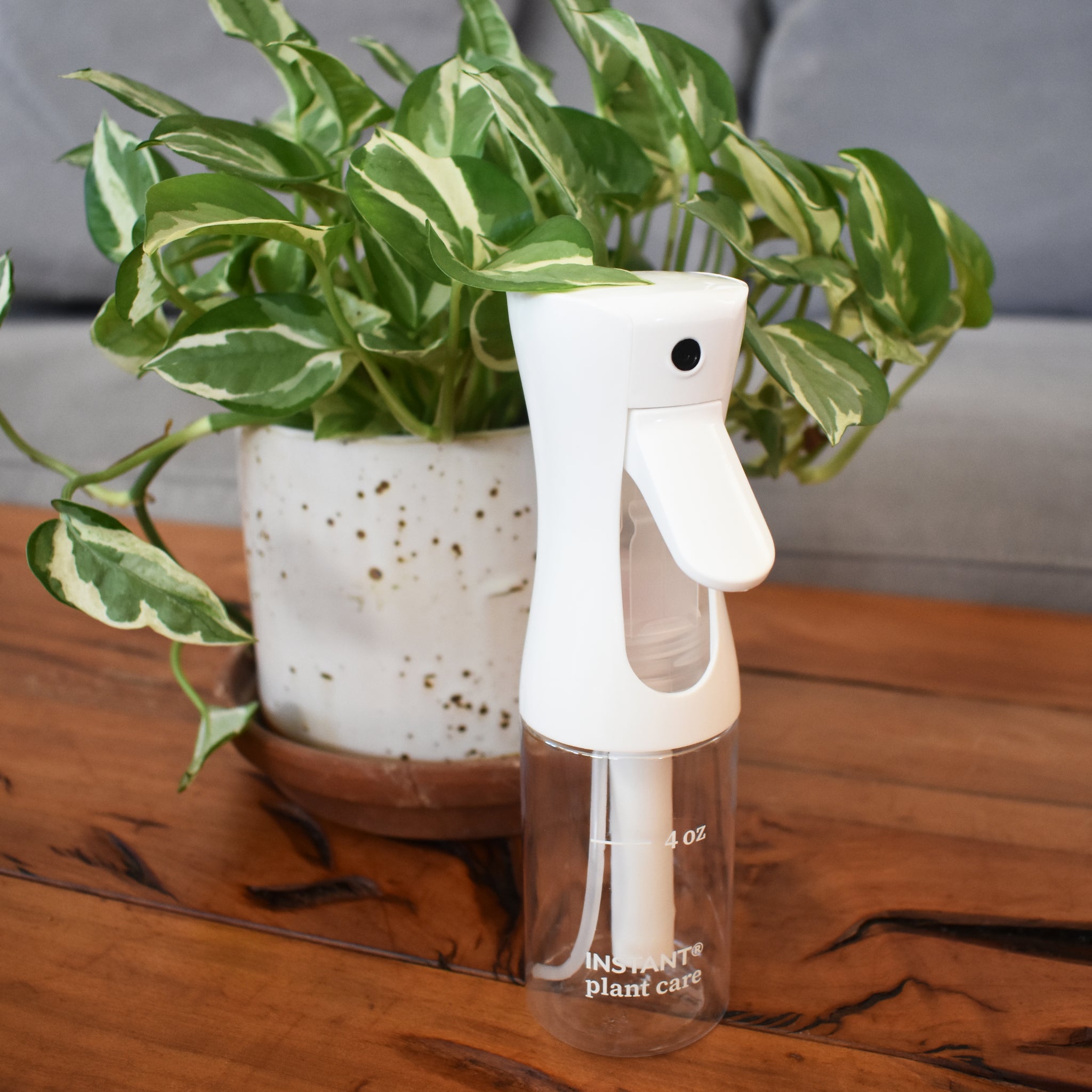 plastic plant mister Simply the Best Plant Mister Spray Bottle (4 oz) – Instant Plant Food